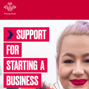 the princes trust business plan