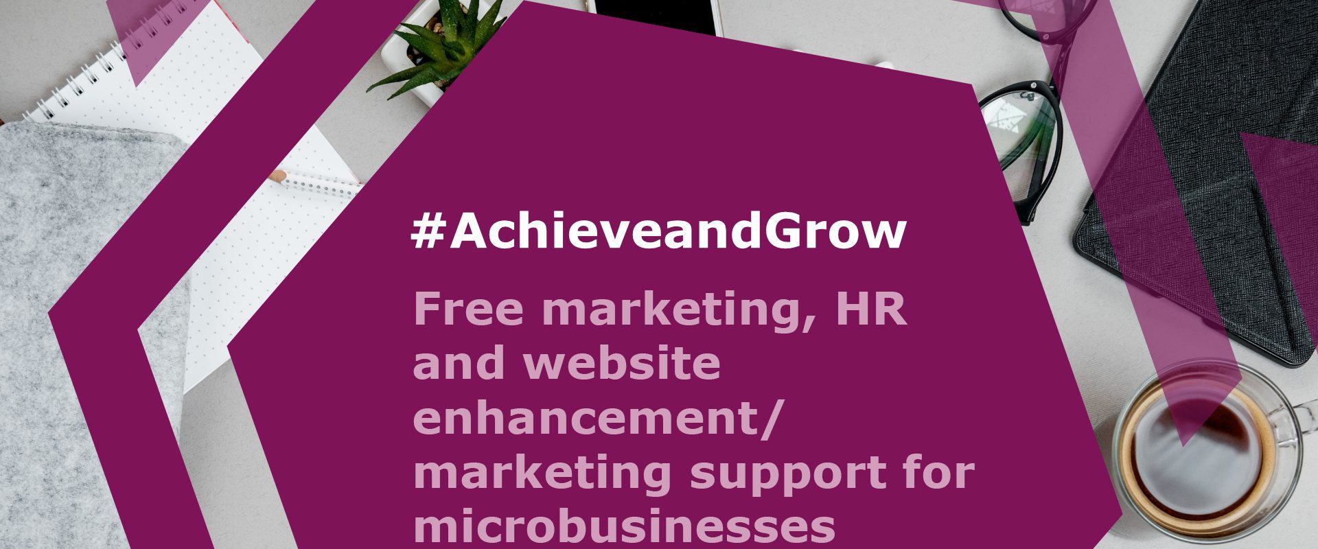 Free marketing, HR and website enhancement/marketing support for microbusinesses
