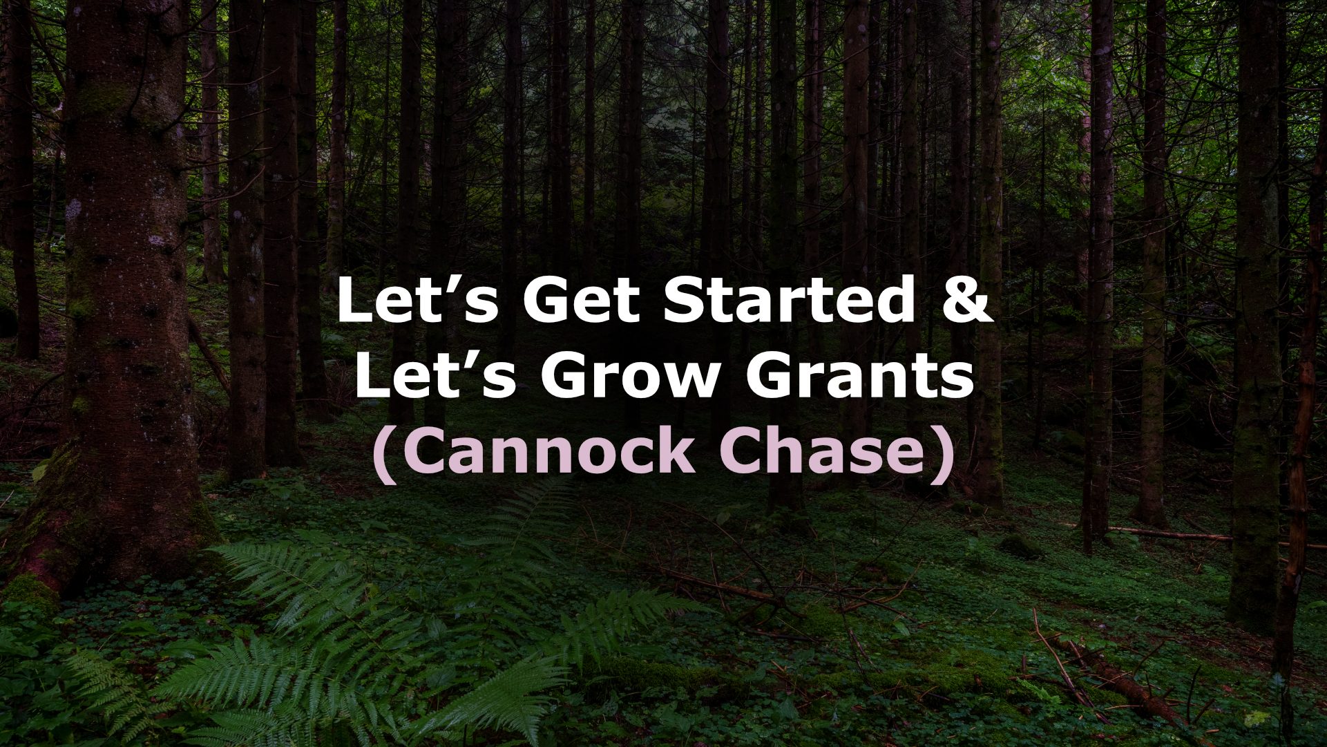 Cannock Chase Grants page image