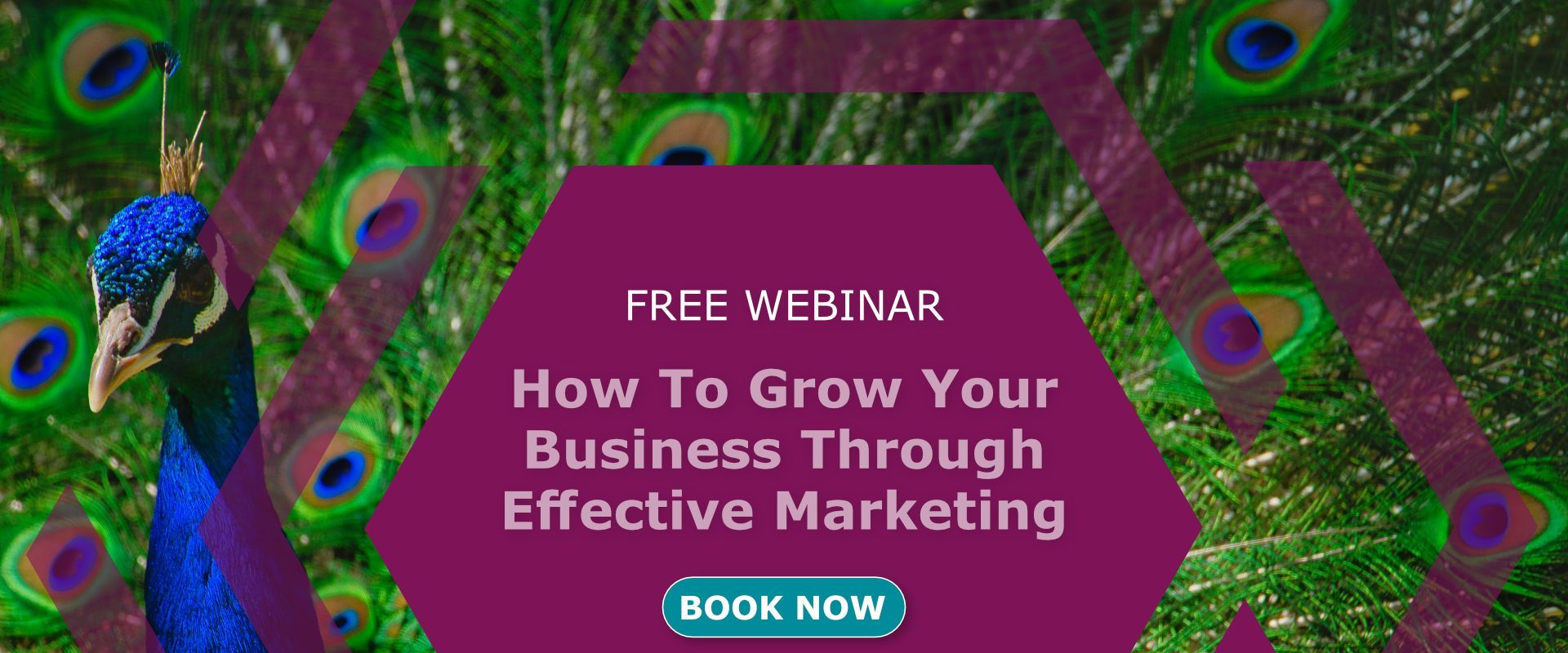 How To Grow Your Business Through Effective Marketing