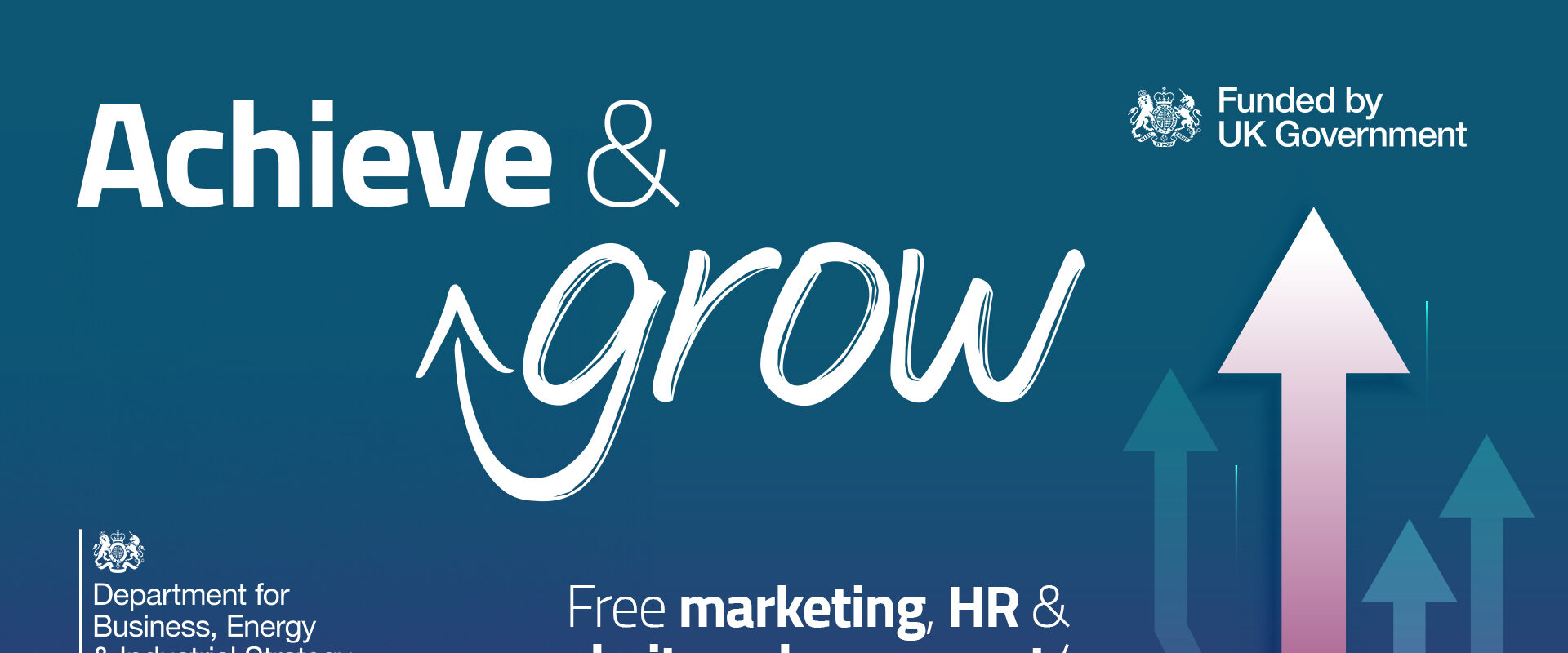 Free marketing, HR and website enhancement/marketing support for microbusinesses