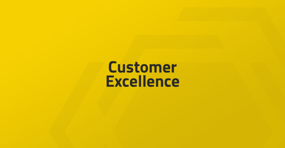 Customer Excellence with Sales Geek