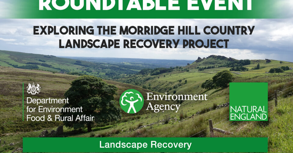 Nature-Based Opportunities for Business in Morridge Hill Country